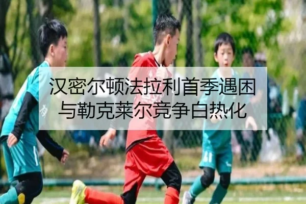 han-mi-er-dun-fa-la-li-shou-ji-yu-kun-yu-lei-ke-lai-er-jing-zheng-bai-re-hua-2-571.jpg